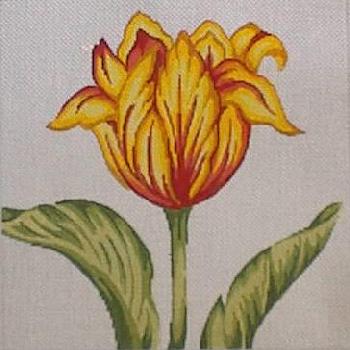 #144 Golden Tulip Image