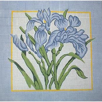 #158 Swamp Iris Image